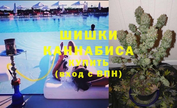первитин Дмитриев