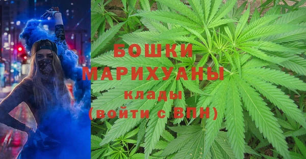 первитин Дмитриев