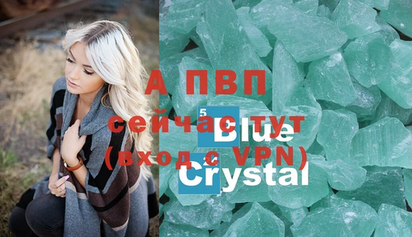 хмурый Дмитровск