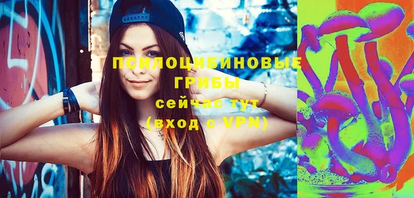 хмурый Дмитровск
