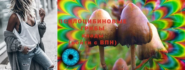 первитин Дмитриев